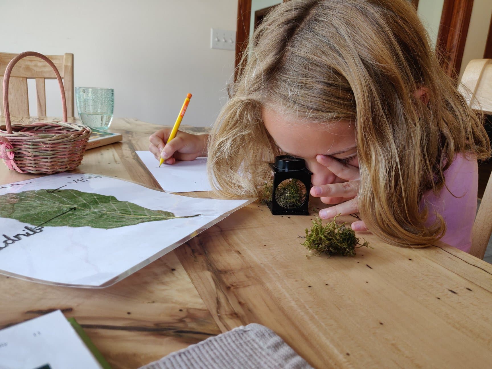 Apologia botany exploration
