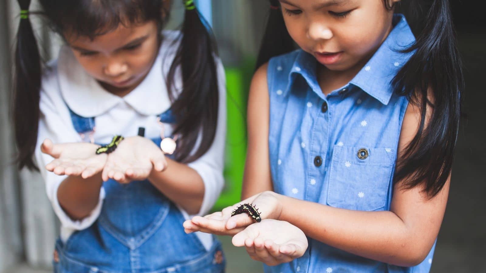Teaching with Wonder