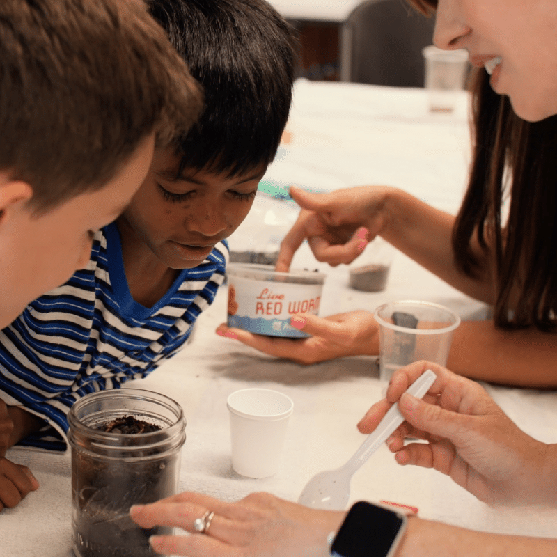 Co-op Hands-on Learning