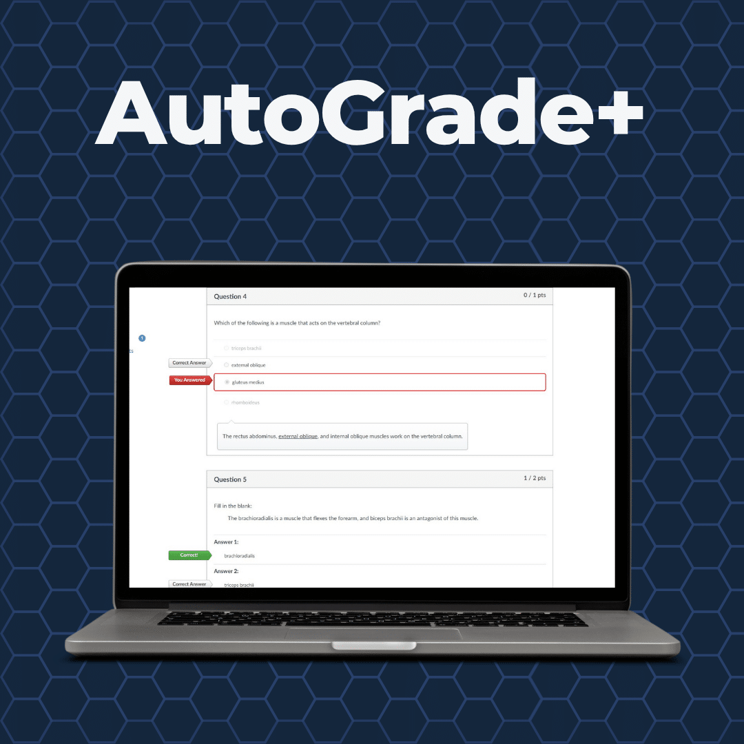 AutoGrade+